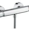 Hansgrohe Ecostat Comfort - Miscelatore Doccia Termostatico Care, Leva Clinica, Cromato 13117000