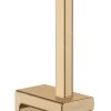 Hansgrohe AddStoris - Distributore Di Carta Igienica, Color Bronzo Spazzolato 41756140
